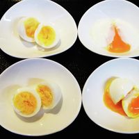 ホットクックにおまかせで固ゆで卵＆トロトロ半熟卵も完璧！おいしい味玉レシピ2種もkufura クフラ 小学館公式