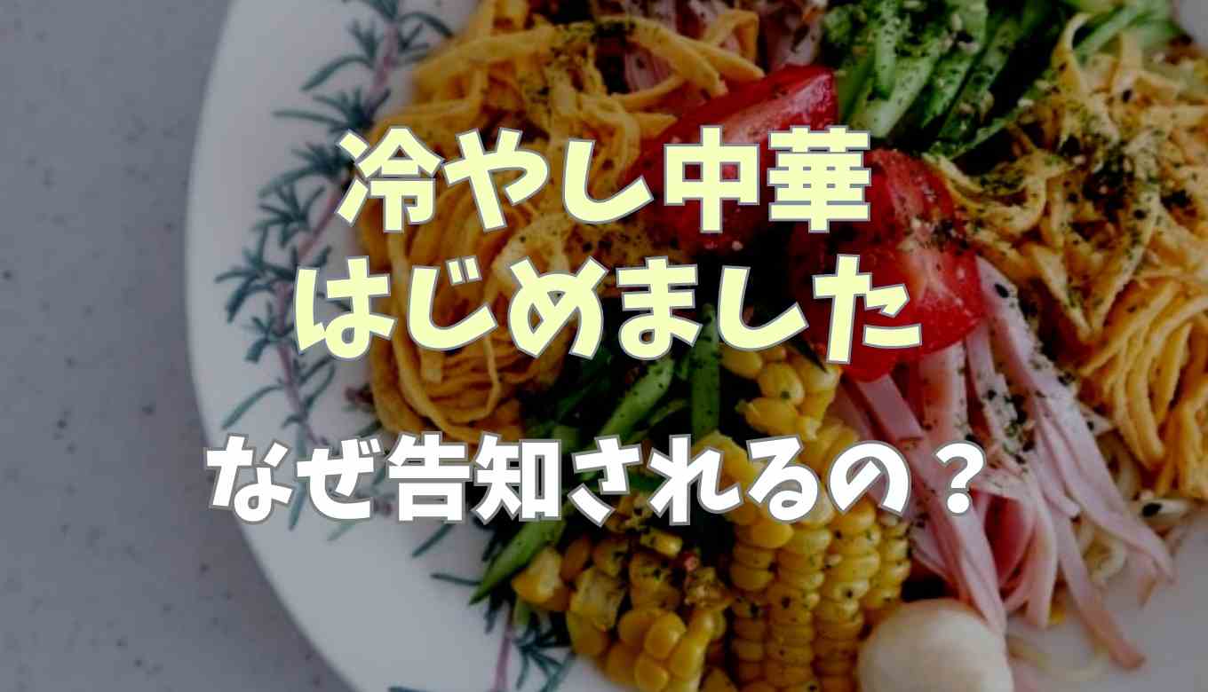 終わりを迎える前に「冷やし中華はじめました」をご紹介します 今年のオススメ冷凍食品ベスト5に入る美味しさ！kozzy
