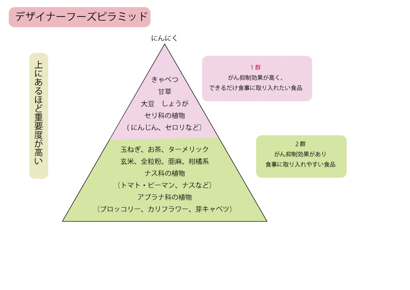 フードパゴダ栄養モデル - 健康的な食事指導用具