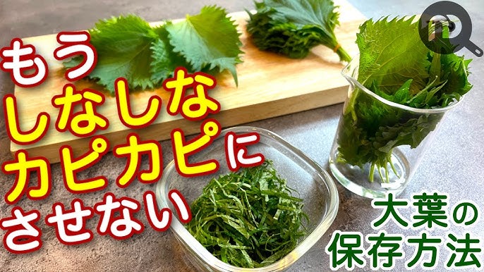 大葉 しそ の冷凍保存。解凍不要で超便利！保存方法と活用レシピやまでら くみこ のレシピ