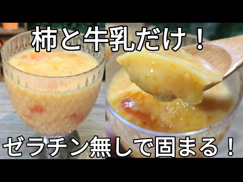 柿の裏ワザ え、柿は牛乳と混ぜると固まるの⁉常識覆しまくりのスイーツ「柿プリン」作ってみた♪2022年10月29日- エキサイトニュース
