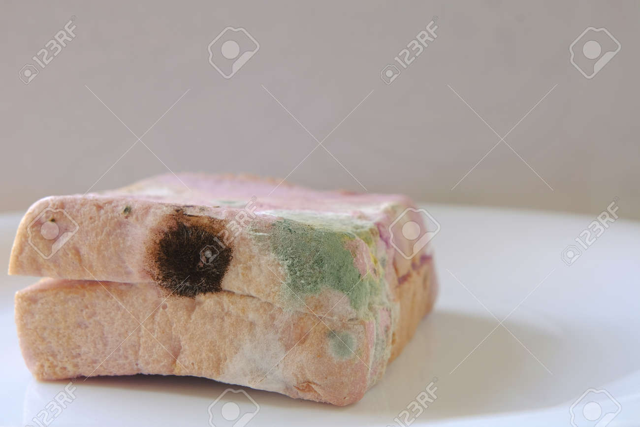 食品とカビ 衛研ニュースNo.148神奈川県衛生研究所