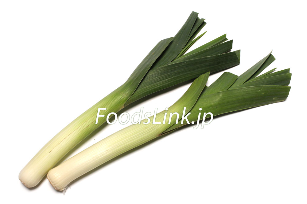リーキってどんな野菜？ネギとの違いや食べ方・おすすめレシピなどマイナビ農業