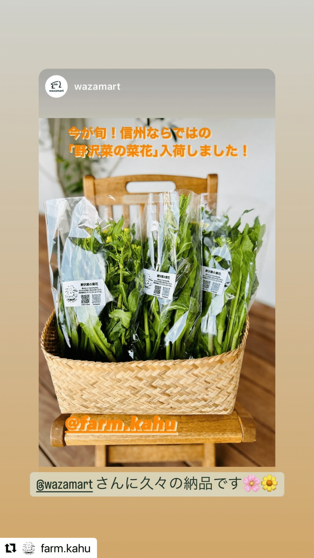 菜の花なのはな- 🌸🌸扉の向こうに🌸🌸