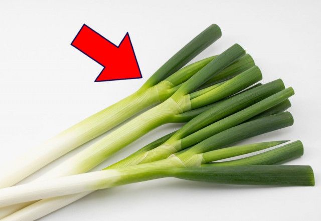 図録▽ねぎの産地