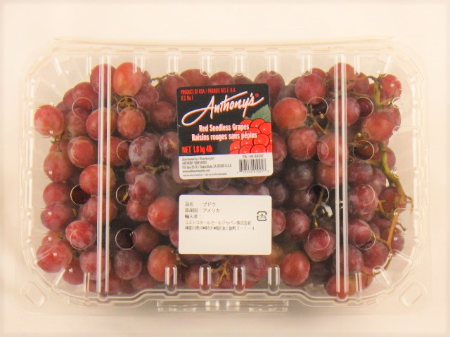 沖縄県産 海ぶどう 春〜初夏の期間限定商品コストコ通 コストコおすすめ商品の紹介ブログ