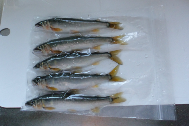 鮎つらら天然の鮎をそのまま氷漬けにして産地直送の通販