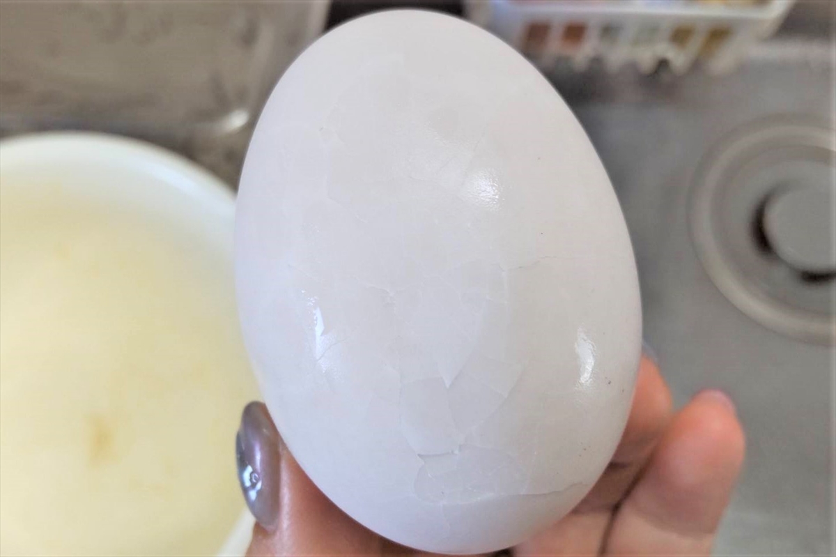 高級卵 合鴨の卵を食べてみた！ 1個あたり約73円の価格は果たして妥当なのか !?ロケットニュース24