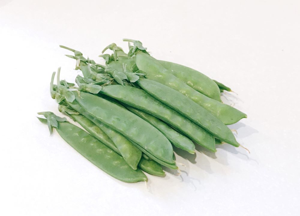 エンドウ 実エンドウ野菜のタネ株式会社トーホク