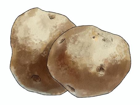 じゃがいもの断面に入っている黒？茶？色い線はなんですか？ -- Yahoo!知恵袋