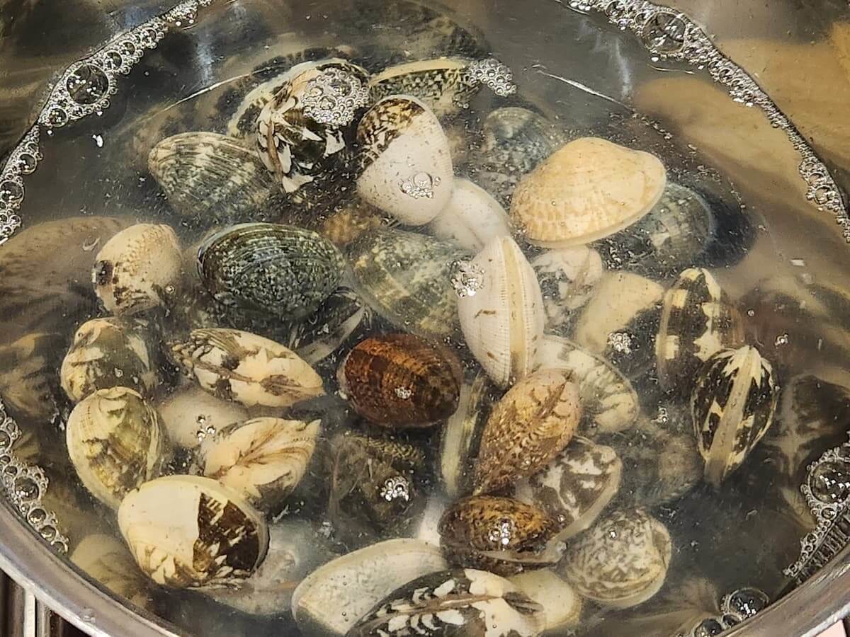 「あさイチ」あさりの砂抜き5分「５０度洗い」＆王道