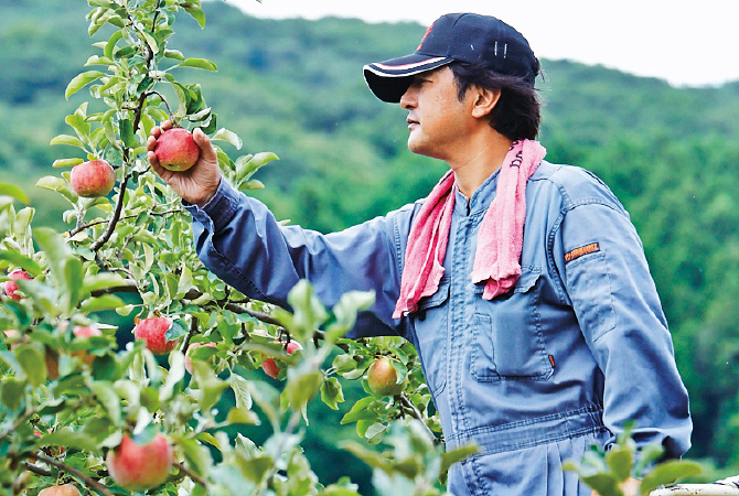 アカチャンホンポ 赤ちゃん本舗 の公式ネット通販10個セット やさいとなかよし 野菜＆果物スプレッド にんじんとりんご 離乳食:食品アカチャンホンポ Online Shop