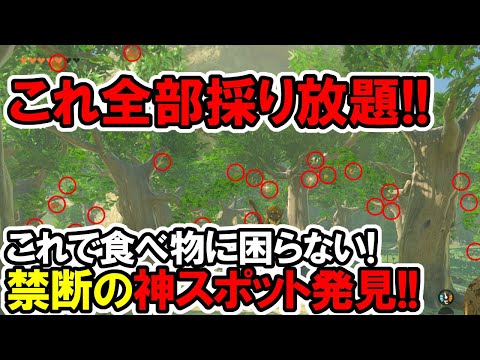 依頼を受けて、焼きリンゴ大好きなＮＰＣをリンゴで囲んで火をつけてみた - YouTube