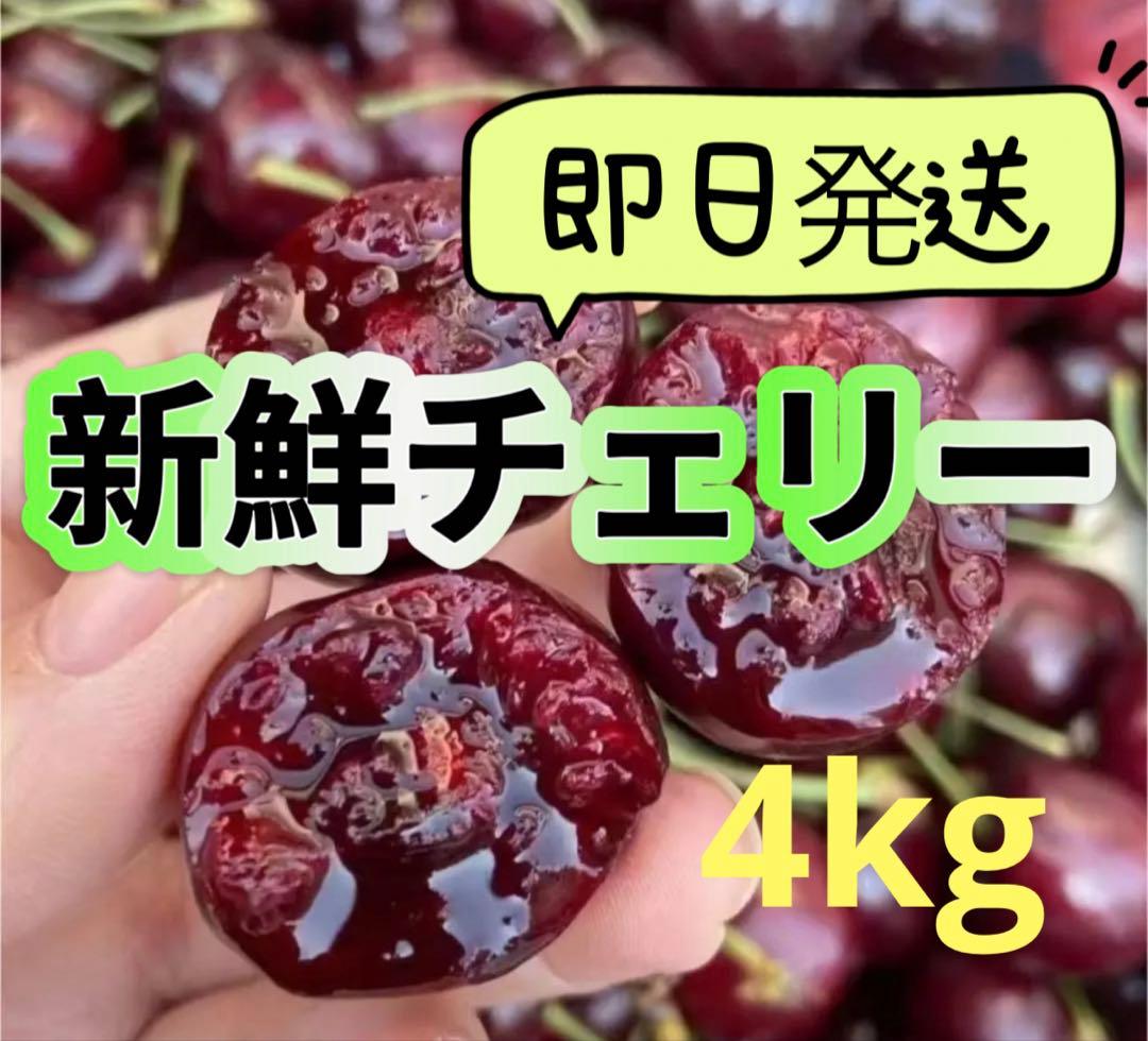 さくらんぼとアメリカンチェリーの違い、栄養情報や効果効能を解説！保存方法も要チェックkufura クフラ 小学館公式