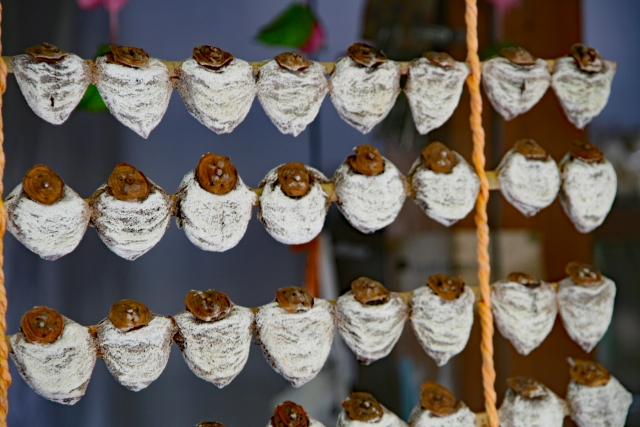 鏡餅干し柿」の写真素材18件の無料イラスト画像Adobe Stock