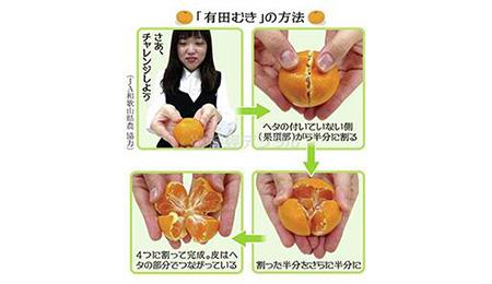 みかんの皮アートが熱い！面白いみかんの剥き方作品８選 - IZILOOK