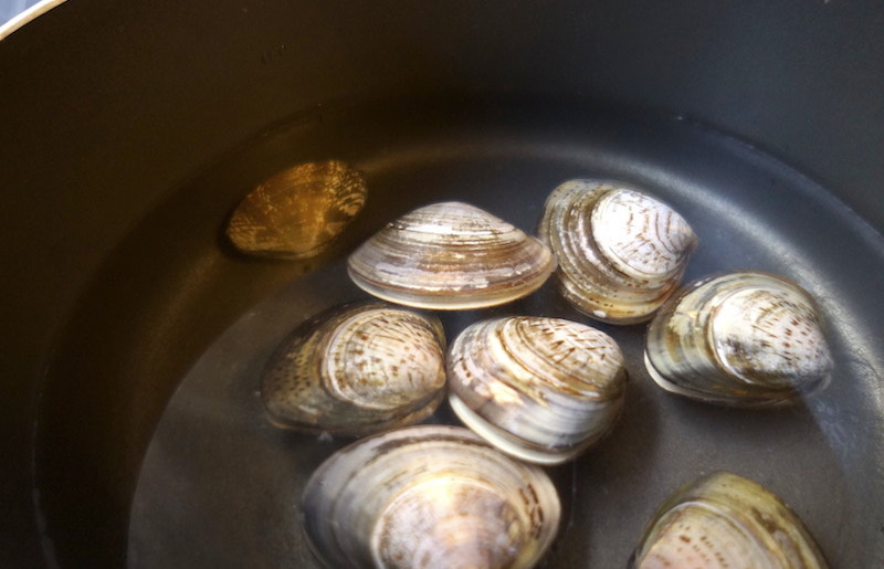 はまぐりの砂抜きはスーパー購入でも必要？時短で砂出しでもプリプリ暮らしの知っ得情報