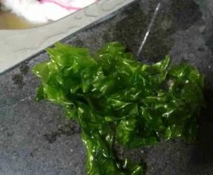 营养保健的海藻类食物_妈咪营养_幼教网