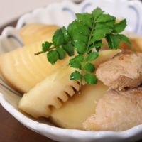 基本からアレンジまで！思わずつくりたくなる「たけのこ ひき肉 厚揚げ」のレシピ集クックパッド