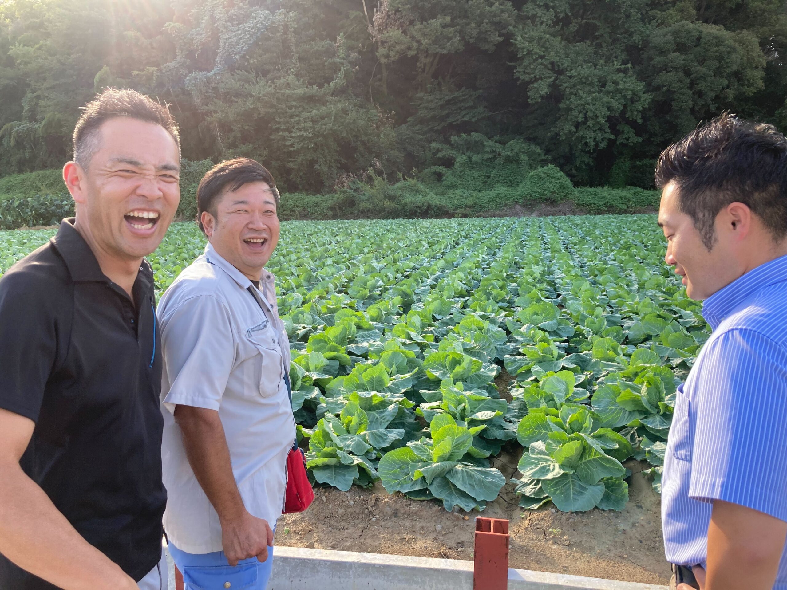 読む写真：Ｐｈｏｔｏ 実習生の代わりに 群馬県嬬恋村写真特集11 10毎日新聞