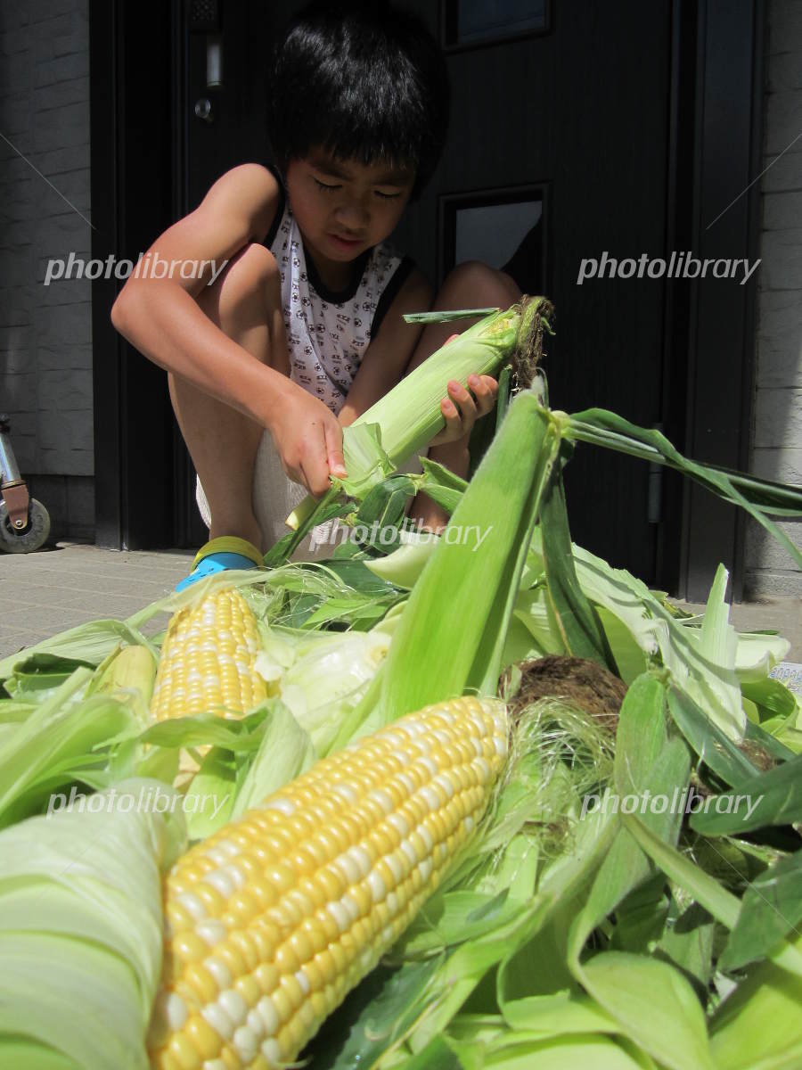とうもろこしの皮むき 食育活動 ニチイキッズ仙台しんてら保育園ニチイキッズ