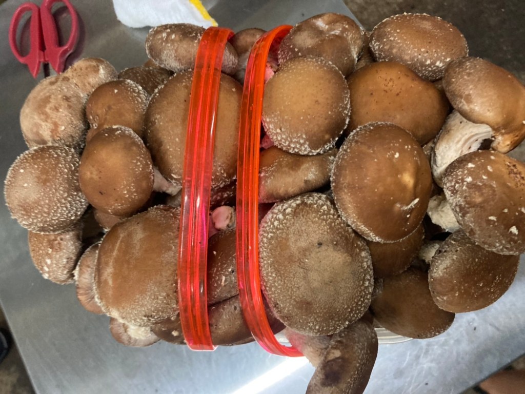 これで完璧！炭火を使ってしいたけを美味しく焼くときのコツ❘バター醤油