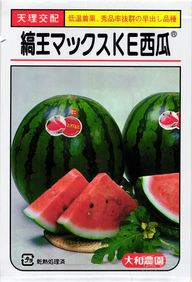 夏の味覚！大玉スイカの魅力：特徴、産地、栄養価を徹底解説