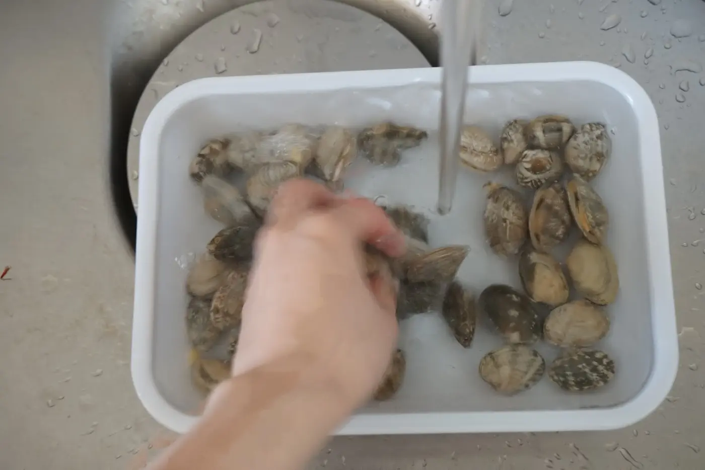 500万回再生 ペットボトルで超簡単な『あさりの砂抜き』教えます。 ガンガン 料理家- エキスパート - Yahoo!ニュース