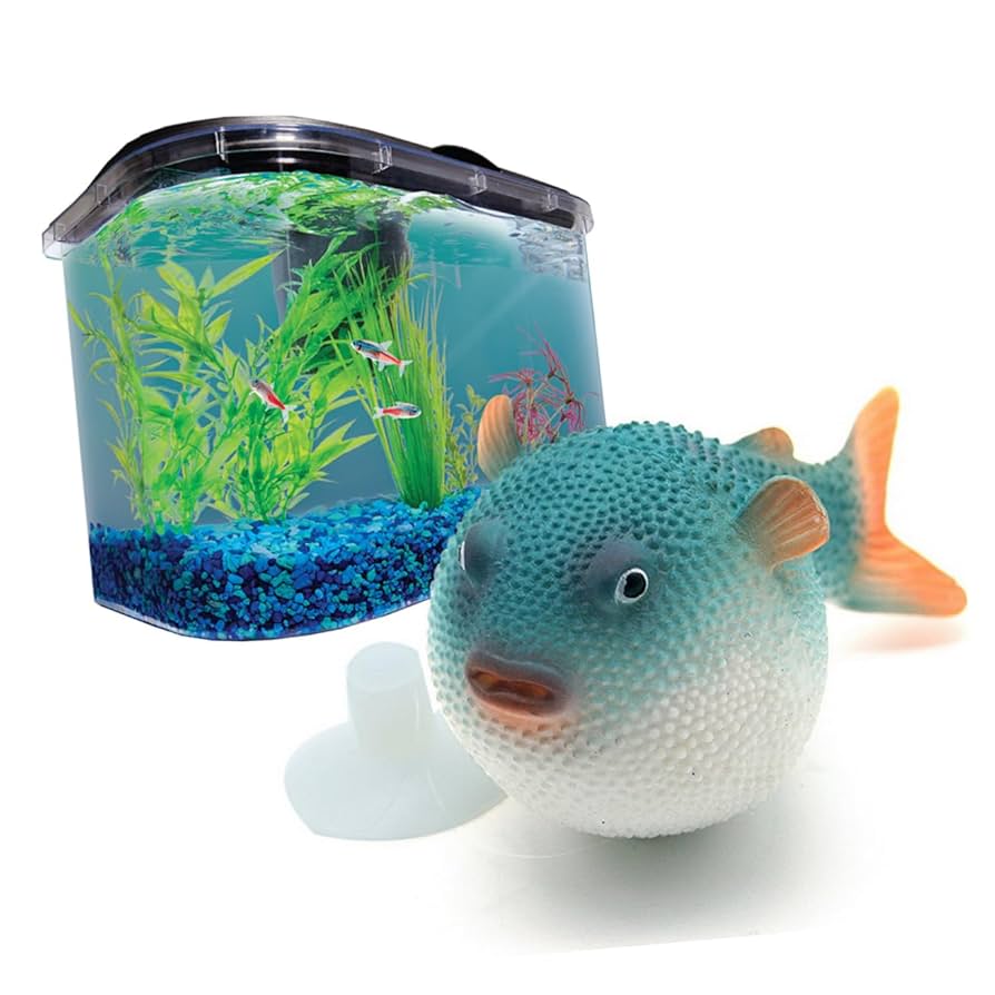 人になつきやすい！！かわいいフグを飼ってみよう！ - 熱帯魚・アクアリウム熱帯魚、アクアリウム情報マガジン