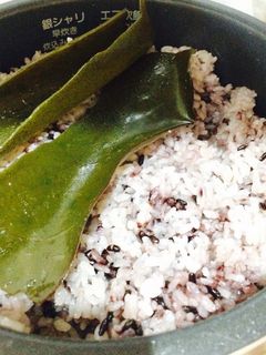 まるで新米？！米油でツヤツヤふっくらのご飯を炊こう！食べるプラス