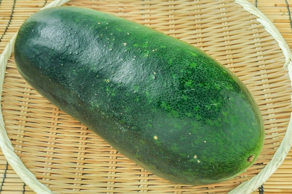 冬瓜業務用食材の仕入れなら八面六臂