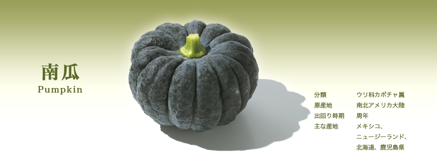 かぼちゃを食す！！ - もりもりハウス通信