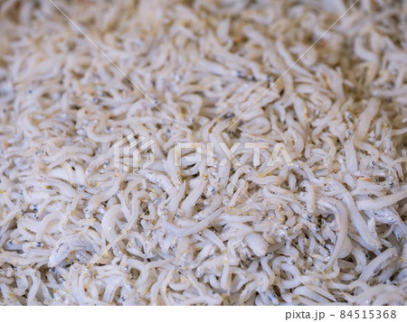 ウナギ稚魚、北海道で増加か 温暖化が影響―海洋機構など：時事ドットコム