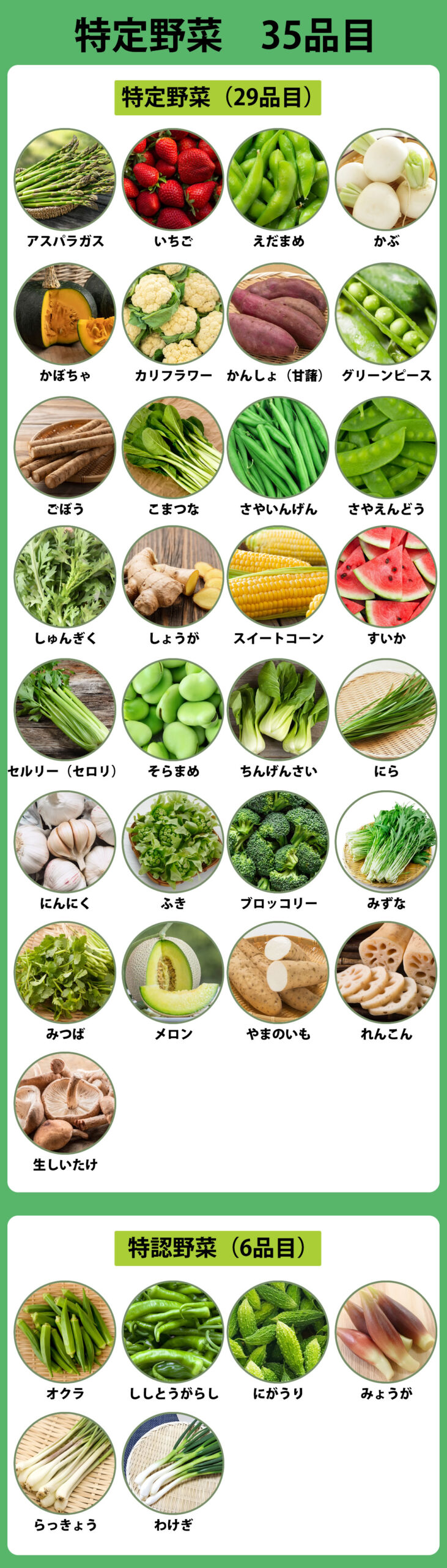 野菜の名前③ Names of vegetablesLearn Japanese