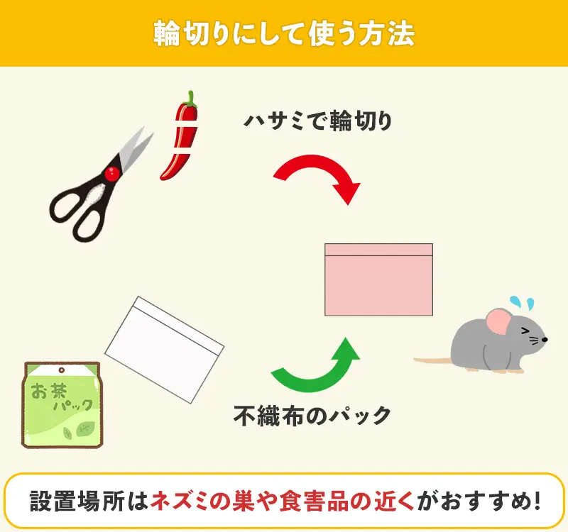 唐辛子ネズミTikTok