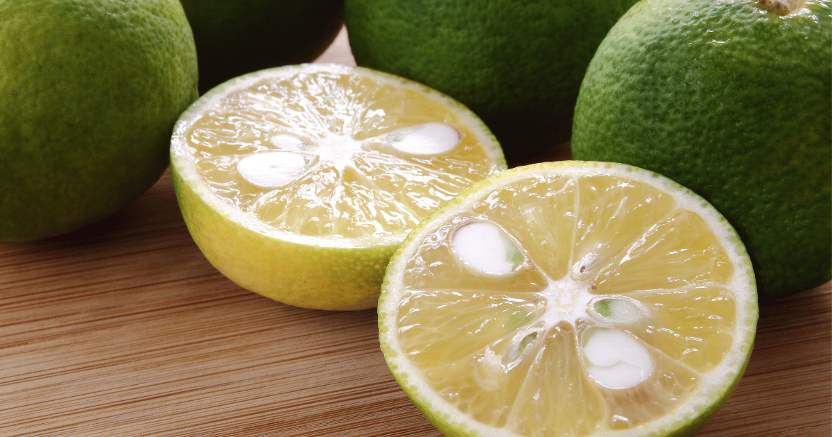 すだちを大量消費したい！使い道に迷わないレシピ10選で美味しく爽やかに頂こうfolk