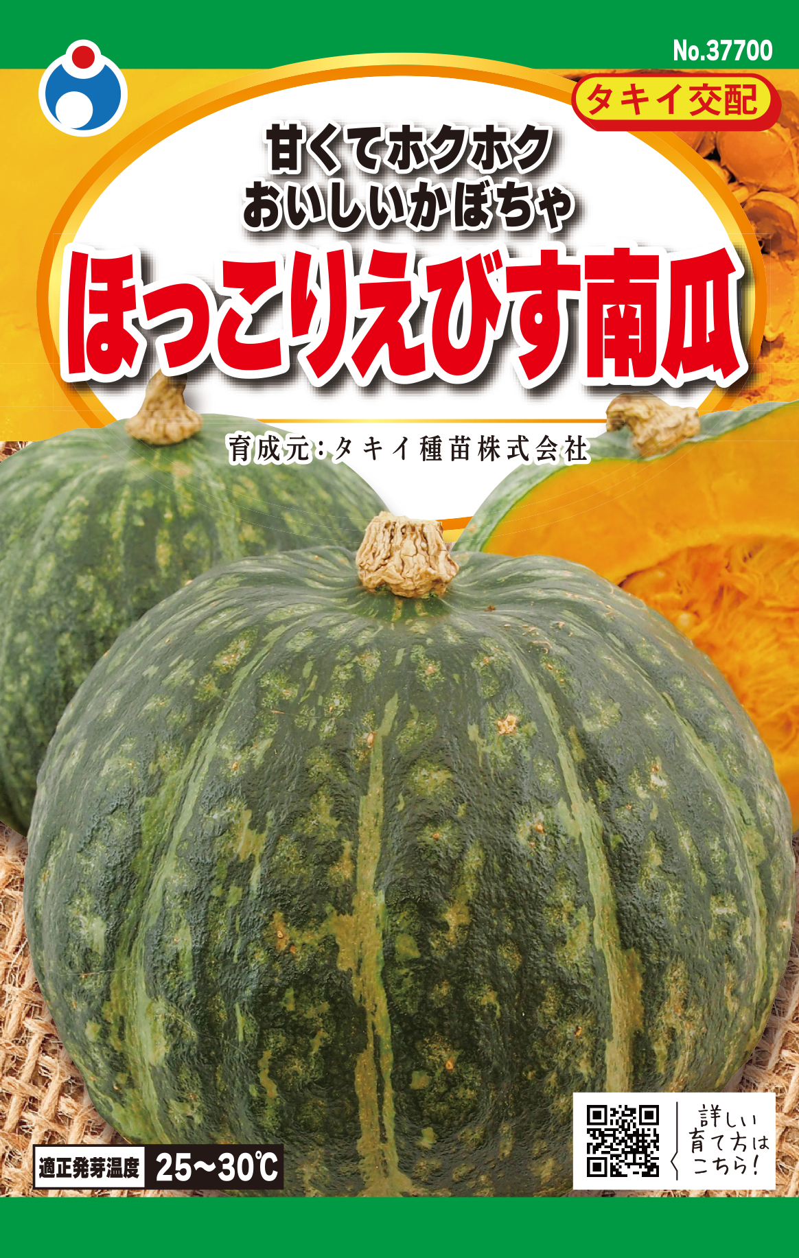 空中栽培で美味しいバターナッツかぼちゃプランターでの栽培方法しま農研しま農研