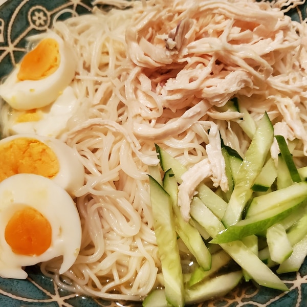 小ネギ塩ダレそうめん。ビタクラフトモニター記事- 未分類