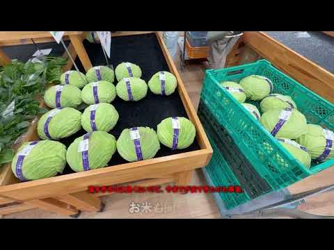 訳あり とうもろこし 野菜食品 のおすすめ人気商品一覧 通販 - Yahoo!ショッピング