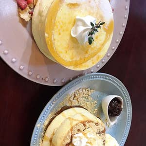 フローランテ宮崎にて「ワンちゃんDay」10月26日 土 開催！Toshi Yoroizuka監修＆シーガイア特製ワンちゃん用スイーツ登場フェニックスリゾート株式会社のプレスリリース