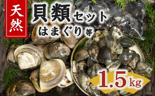活あさり 大 ２ｋｇ 国産 活あさり 浅蜊 アサリ 販売 通信販売 通販 - はまぐり屋桑名 漁師が獲った新鮮な「桑名の蛤 」を直接ご家庭の食卓にお届け致します