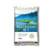 夏の田んぼの便りが届きました！ - SKYFOOD