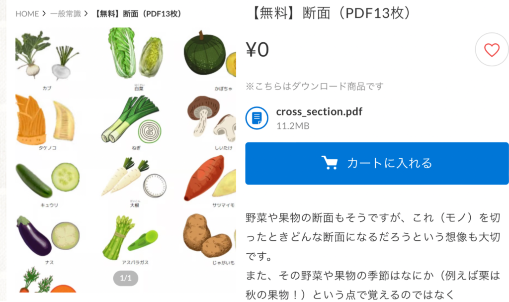 野菜の断面 イラストのイラスト素材63016297- PIXTA