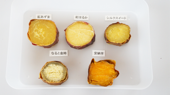 さつまいも農家がプロの目で比較～おすすめさつまいも８品種～ - ≪公式≫サツマイモ専門店オイモール