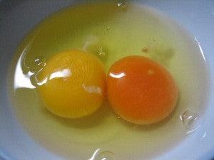 卵の黄身はなぜ色が違う？濃い方が栄養があるって本当？焼鳥ぴーすけ大阪 淡路の炭火焼鳥屋