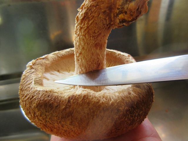 しいたけにカビのような白いフワフワ 食べても大丈夫？カビとの見分け方は？ - トクバイニュース