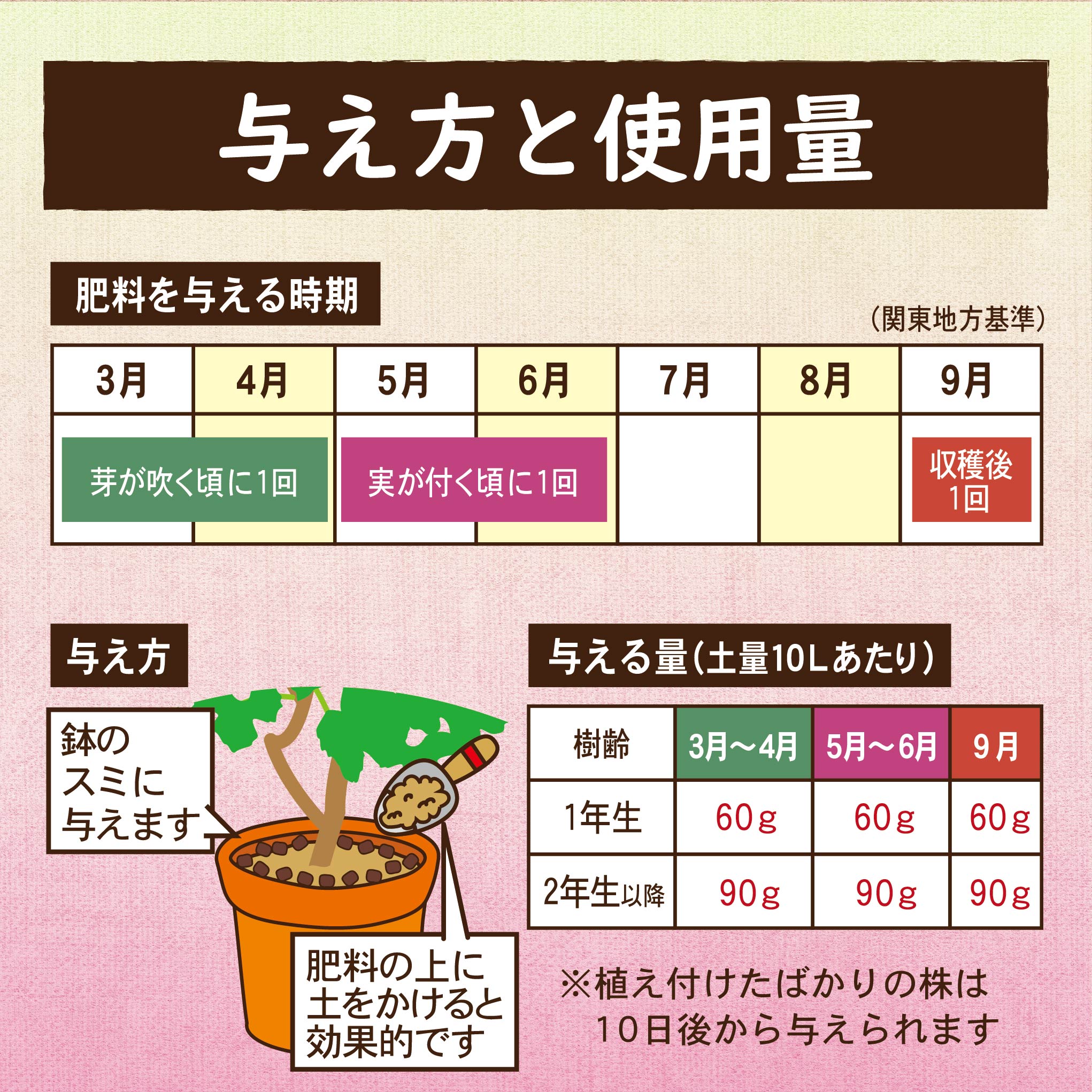 仕立て方・剪定・土替え – いちじく畑