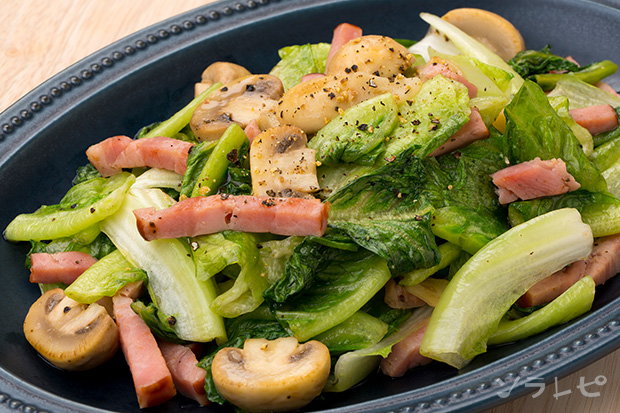 サラダだけじゃもったいない！ レタス のごちそう８選料理家レシピ満載 みんなのきょうの料理 NHK「きょうの料理」で放送のおいしい料理レシピ をおとどけ