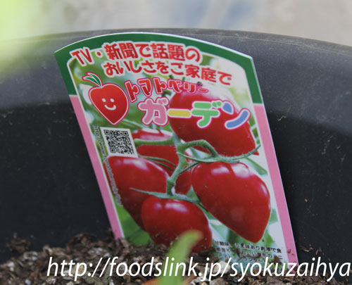 ピメントベリーオールスパイス 精油 エッセンシャルオイル