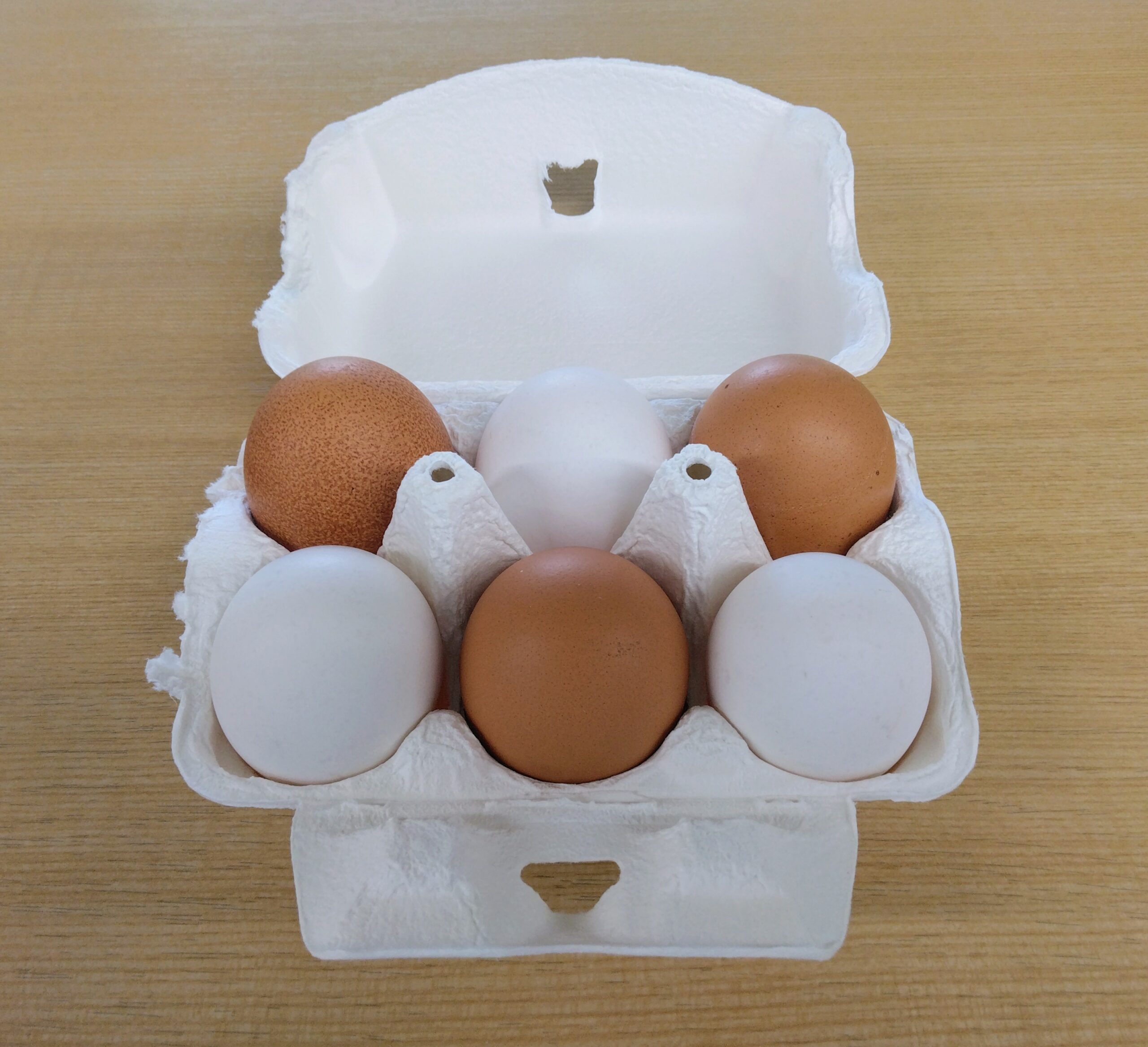 たまご新聞「卵黄 黄身 の色の違い」有限会社グリーンファーム